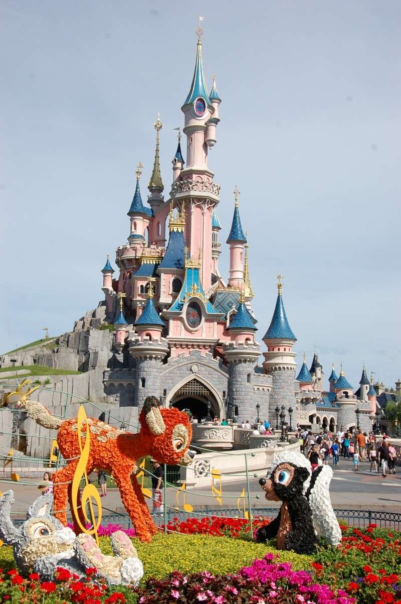 Mes 18 ans à Disneyland Paris ! [Séjour du 09/06 au 11/06 au Ranch Davy Crockett - Episode 1] Dsc_1917