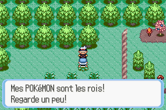 [Saphir] Aventure à Hoenn - Page 2 Pokem158