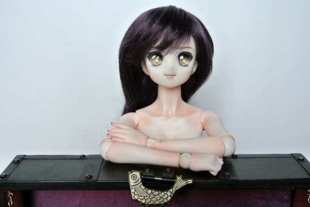 [ Dollbot ] Momozo as rejoint ma troupe ! p.6 Dsc_9215