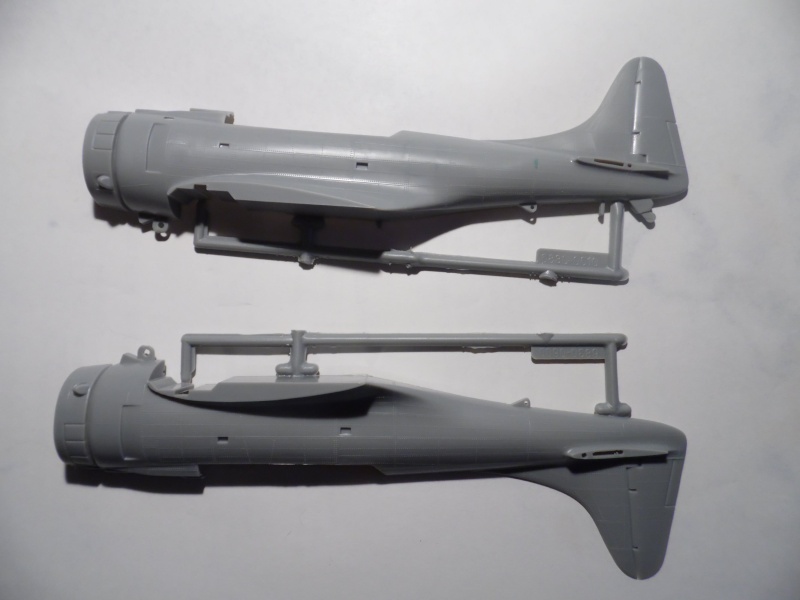 (Projet AA) A-24 banshee ( kit revell au 1/48 du SDB Dauntless ) Sam_0297