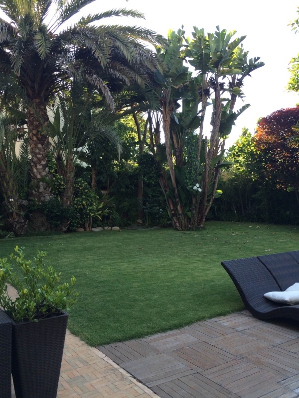 Mon jardin tropical a Casablanca 210