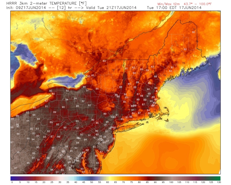 June 2014 Observations / Discussions Thread  - Page 3 Hrrr_t10