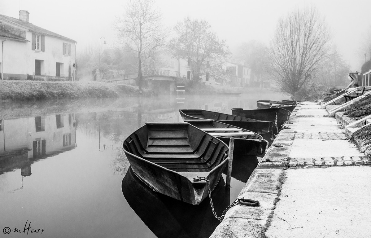 Coulon, dans la brume 2014-131