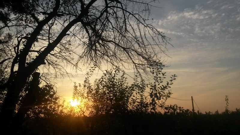 Motiv fotografiranja: sunce (izlazak sunca, zalazak sunca...) - Page 6 20140835