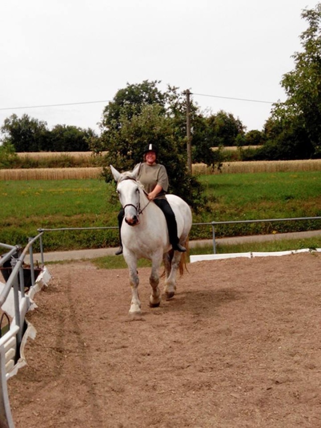 (Dept19) PRINCESSE DE CHANTEGRELL, Percheron, sauvée par Birgit (Avril 2014) - Page 10 Pri210