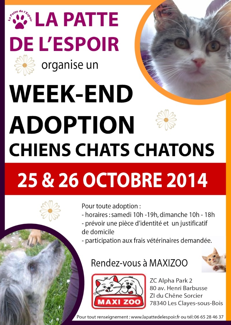 Week-end ADOPTIONS les 25 et 26 octobre 2014, MAXIZOO, Les Clayes-sous-Bois (78) 2014-110