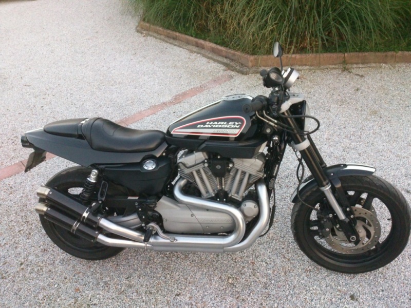 LouPilou XR 08110