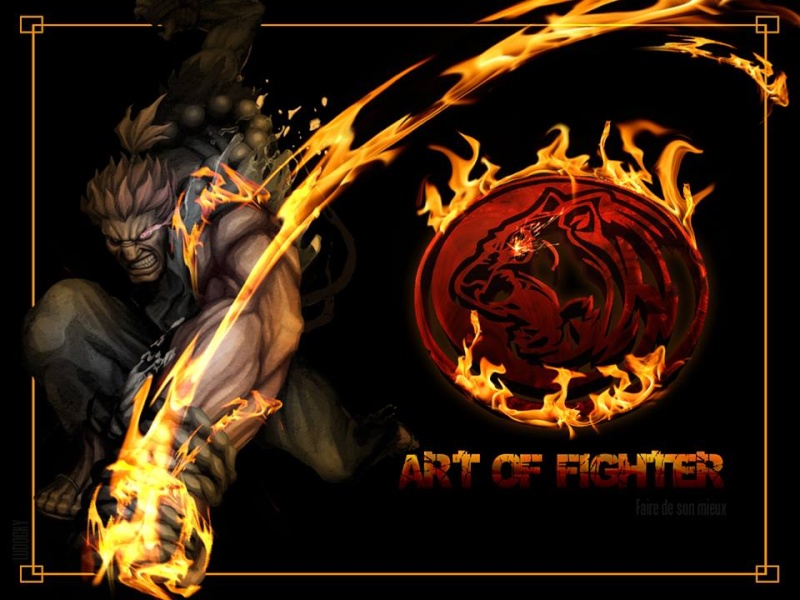 team aof  (ART OF FIGHTER)  10356711