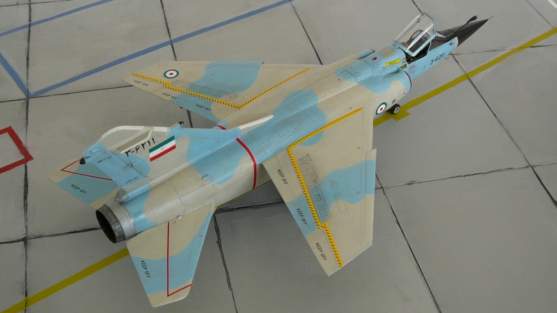 Mirage F1 Persan aux cocardes peu communes - Page 5 P1170951