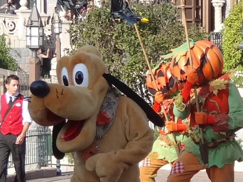ratatouille - TR: séjour du 16 au 22 octobre 2014: de retour à Disneyland Paris en famille avec live, ride par ride et découverte de Ratatouille! - Page 2 Dsc06623