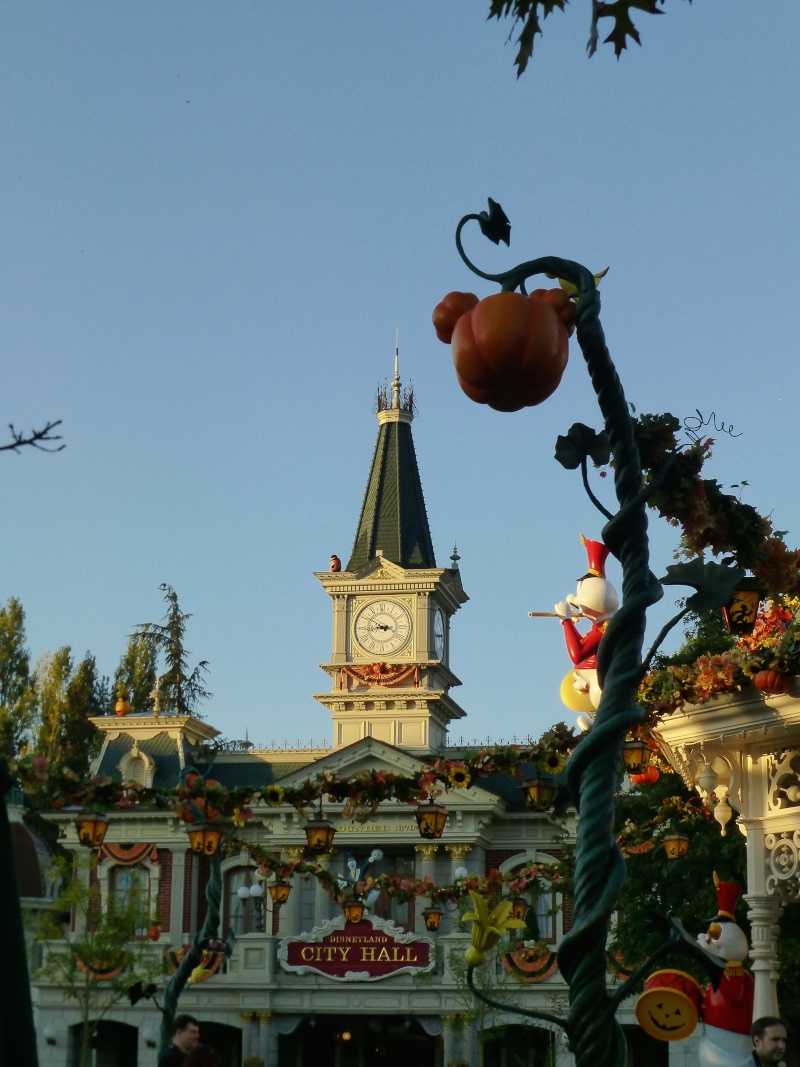 ratatouille - TR: séjour du 16 au 22 octobre 2014: de retour à Disneyland Paris en famille avec live, ride par ride et découverte de Ratatouille! - Page 2 P1170715