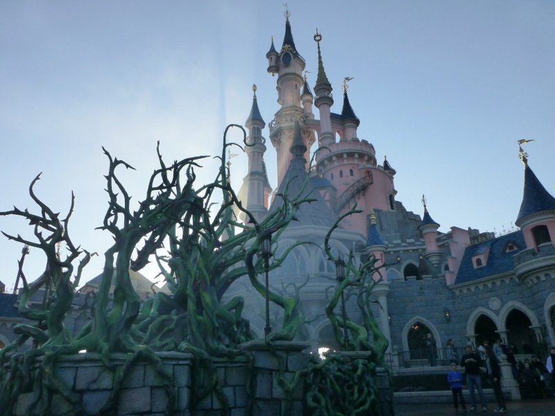 TR: séjour du 16 au 22 octobre 2014: de retour à Disneyland Paris en famille avec live, ride par ride et découverte de Ratatouille! P1170810