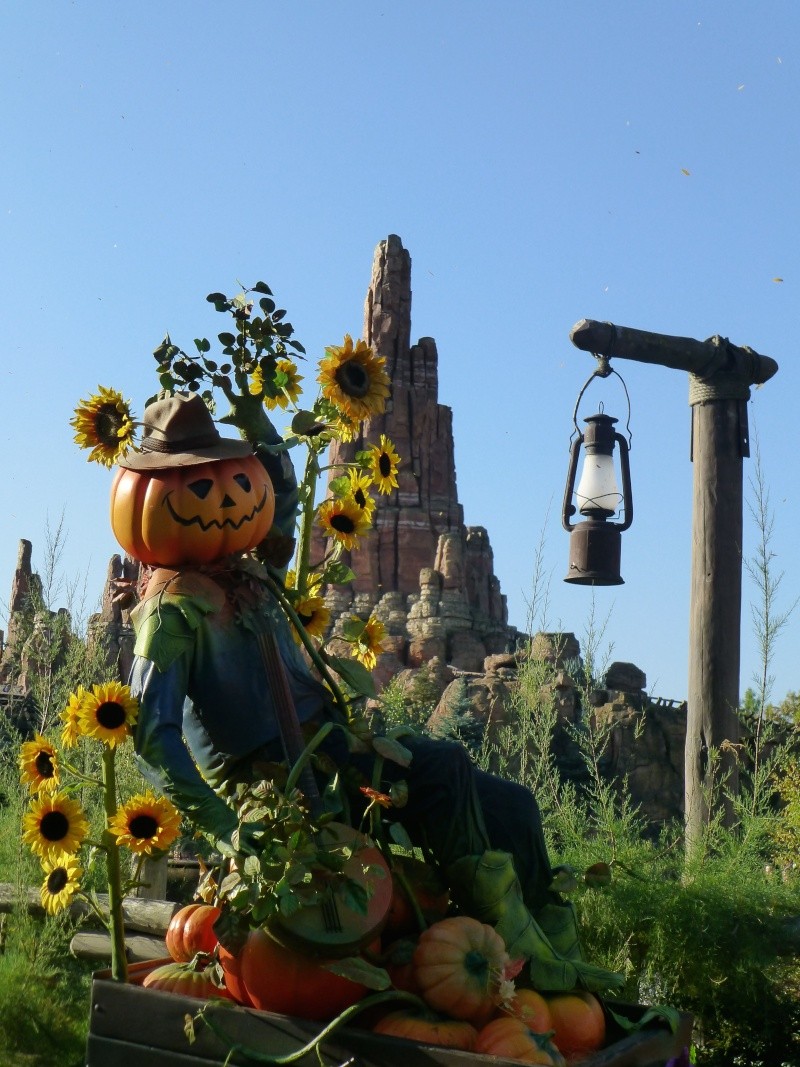 TR: séjour du 16 au 22 octobre 2014: de retour à Disneyland Paris en famille avec live, ride par ride et découverte de Ratatouille! P1170817
