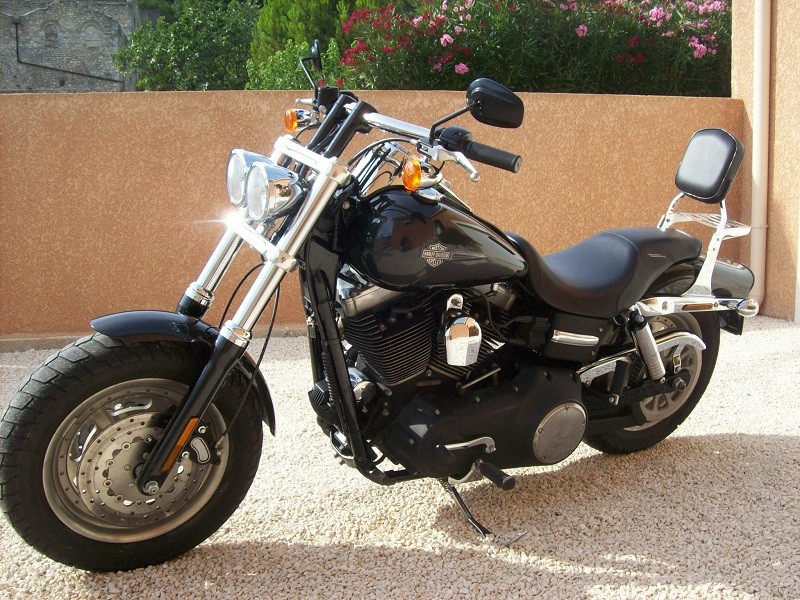 FAT BOB JAMBES TROP COURTE 119