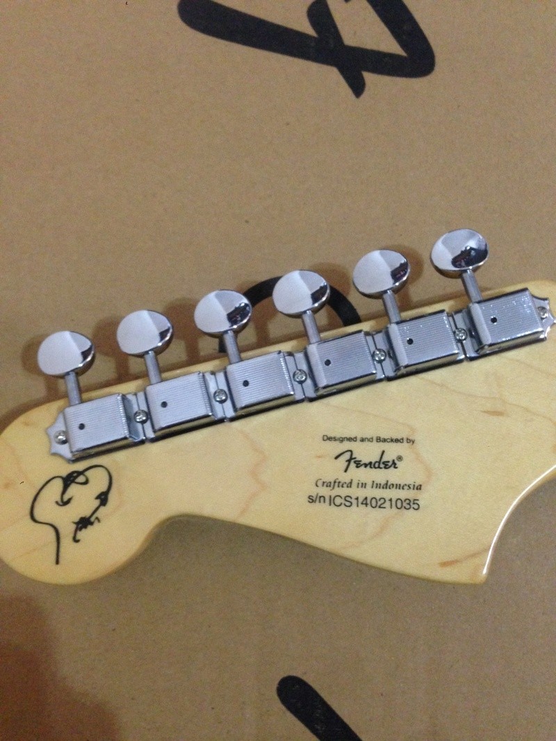 SCANDAL's Signature Squier instruments - Page 7 Image121