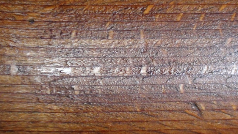 Types de bois de crosse de K98k de 1937 Dsc00950