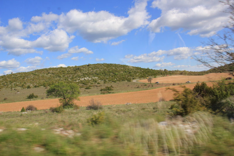 Sortie en Cévennes Img_2529