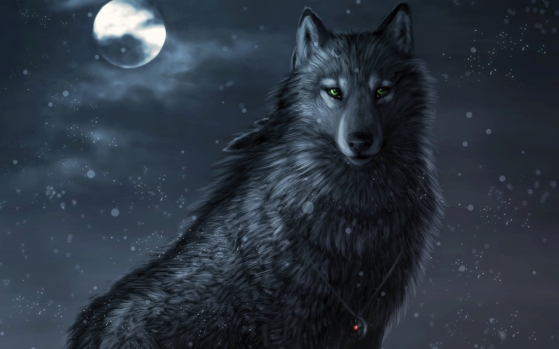 Wolfskralle ~ treuer Krieger des Flussclans Animal11