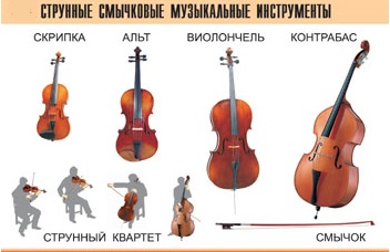 1.2 Тембр: Инструменты симфонического оркестра Music610