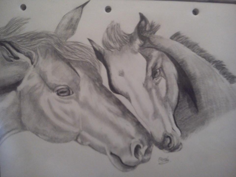2 dessins de chevaux :) 10473410