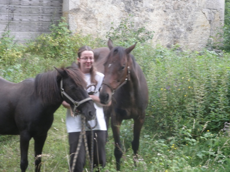 HAVANE - OI poney  née en 1995 - adoptée en mars 2014 par dona carlota P8040210