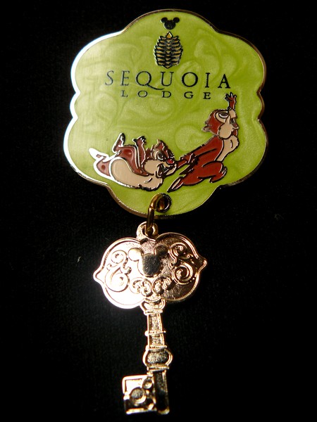 sequoia - après les 10 ans d'Elisa, et oui, voici les 40 ans du papa au Sequoia du 05/07 au 06/07 Pins11