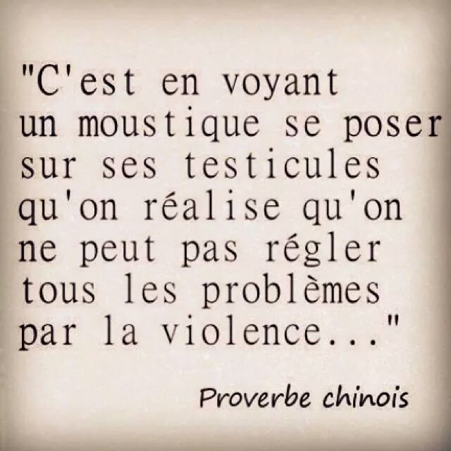 Proverbe Chinois Img_1110