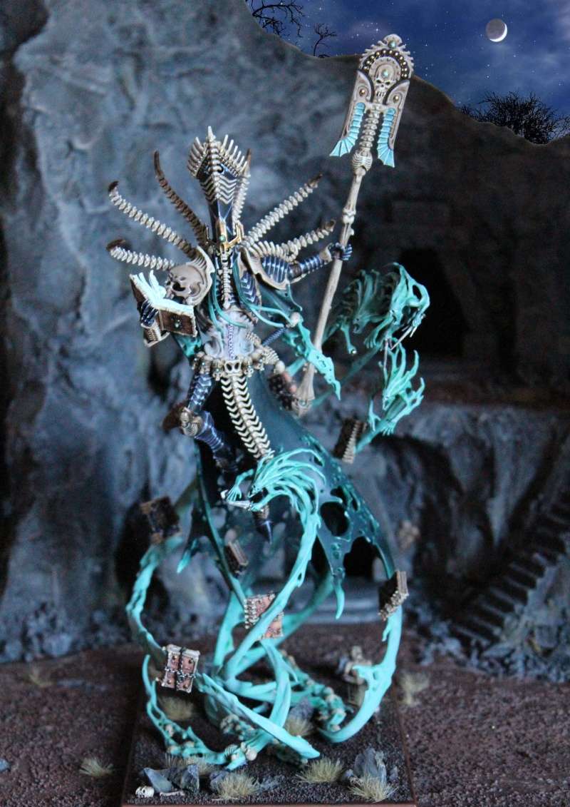 Galerie Yilmi - Page 3 Nagash10