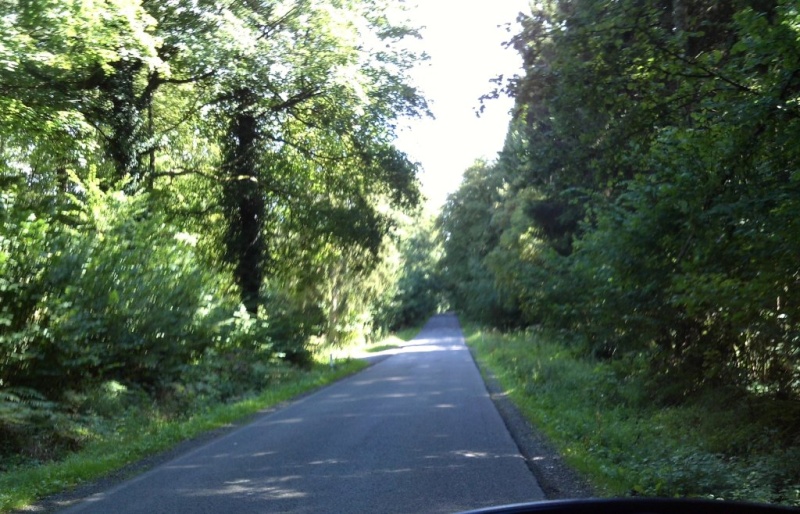 Promenade du 18/8/14 en Haute-Meuse belge Img_0030