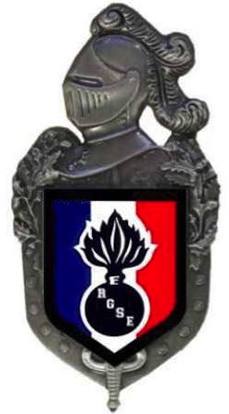 PRÉSENTATION DE LA JEUNE ASSOCIATION RGSE Logo_o12