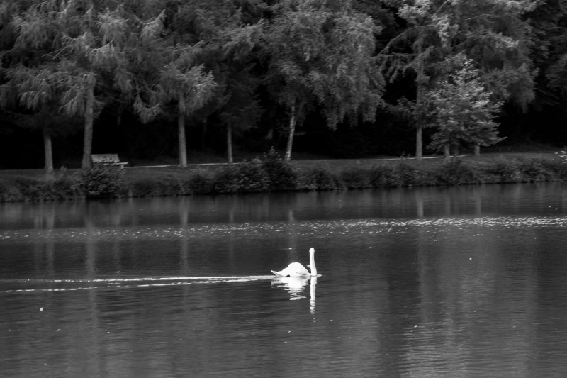 Au fil de l'eau à Vittel Img_0914