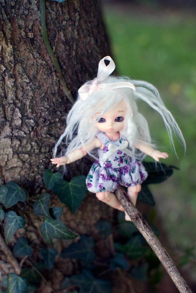 Mes BJD : P8 Cerisedolls, Soom Minigem, Unoa Chibi, Bobobie - Page 8 03810