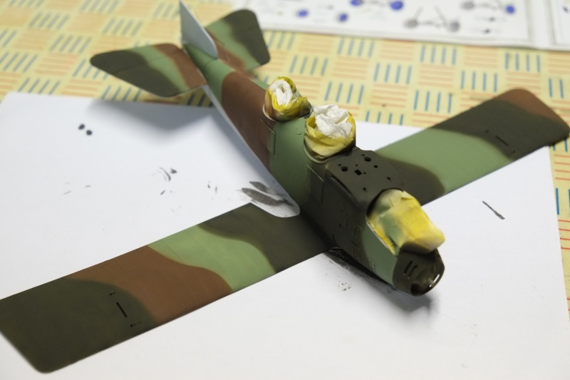 Roland CIIa (1/32 wingnut wings) Tfpa1410