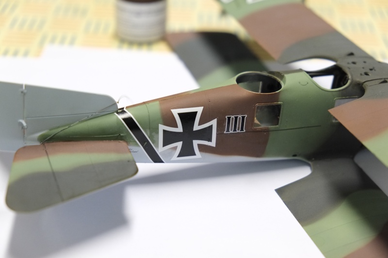 Roland CIIa (1/32 wingnut wings) Tfpa1415