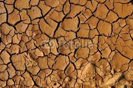 Décors substrat effet terre sèche. Images10