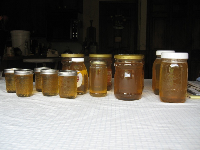 My First Honey Harvest! First_12