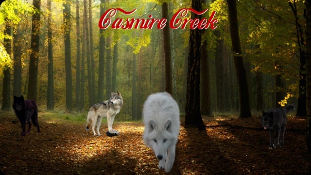 Casmire Creek Banner14