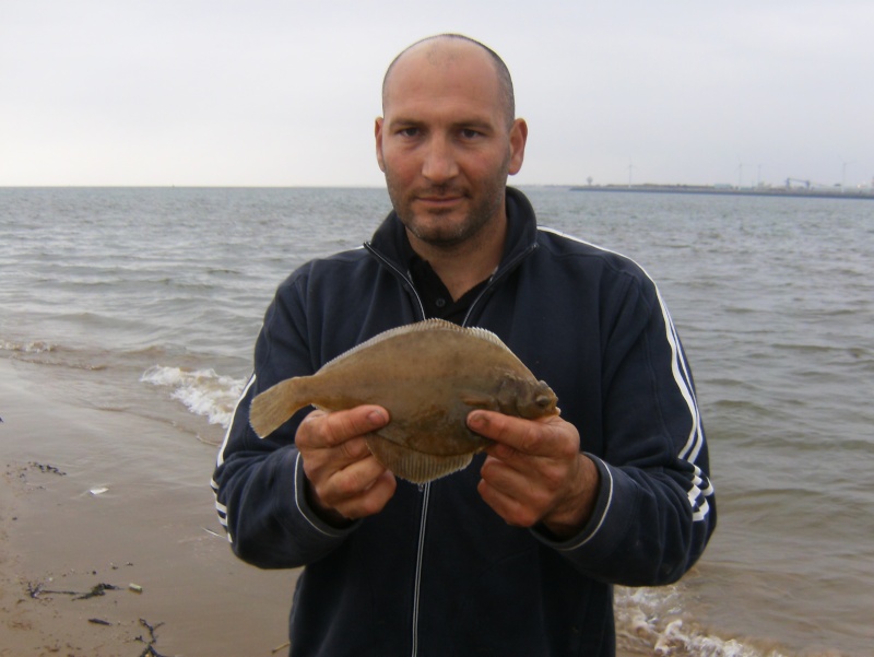 Perch rock 04110