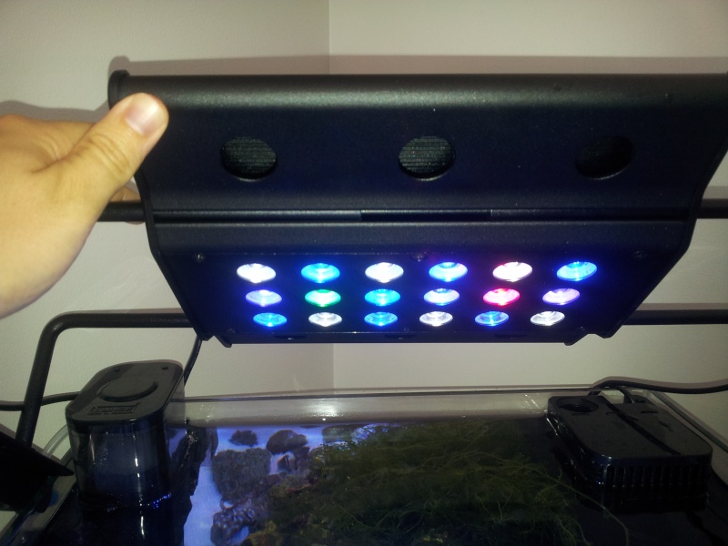 CoralBox M1 LED 20140734