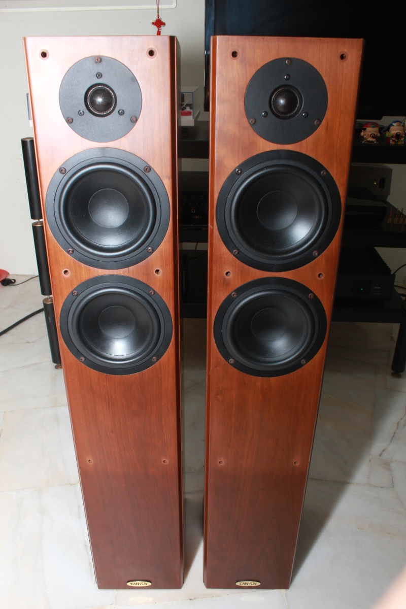 Tannoy Revolution R2 Floorstanding Speakers (USED) SOLD Img_2611