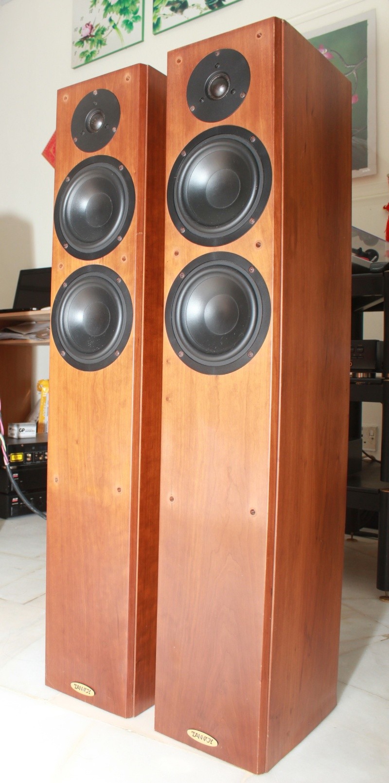 Tannoy Revolution R2 Floorstanding Speakers (USED) SOLD Img_2612