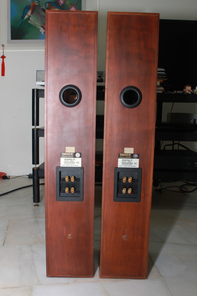 Tannoy Revolution R2 Floorstanding Speakers (USED) SOLD Img_2614