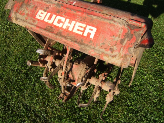 bucher Dscf4013