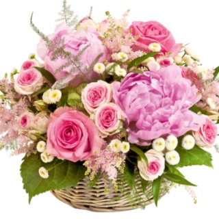 Joyeux Anniversaire A Page 22 Joyeux Anniversaire A Page 22