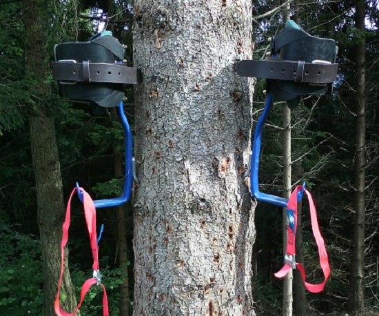 ramponi per tree climbing - Pagina 5 Img_2020
