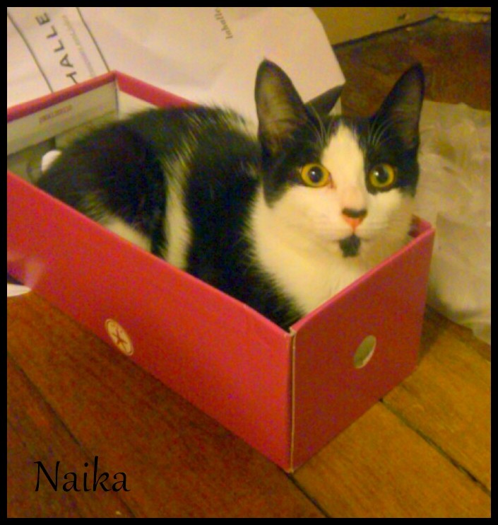 NAIKA - Page 2 Img_2016