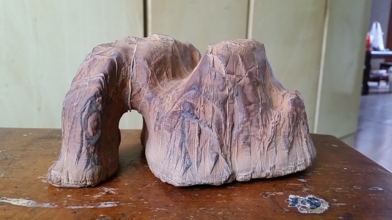 elephant nose shape mountain stone 20140612