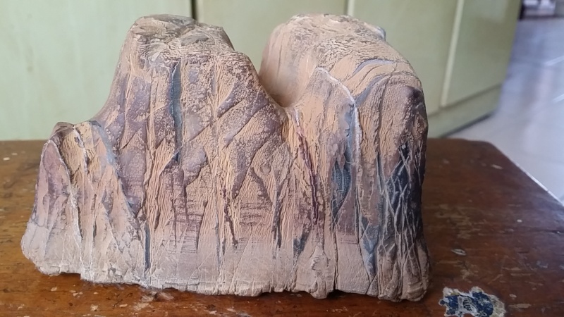elephant nose shape mountain stone 20140613