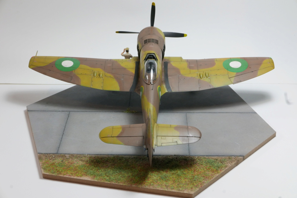 Hawker Tempest Mk II [Spécial Hobby 1/48] Eccbc910