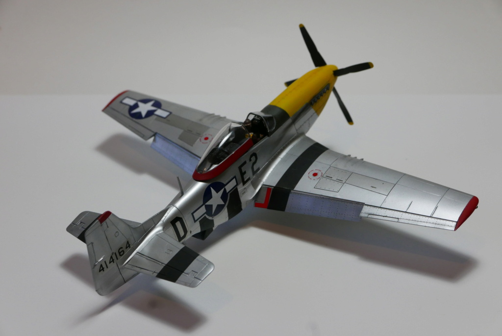 P-51D Mustang [Tamiya 1/48] P1060122